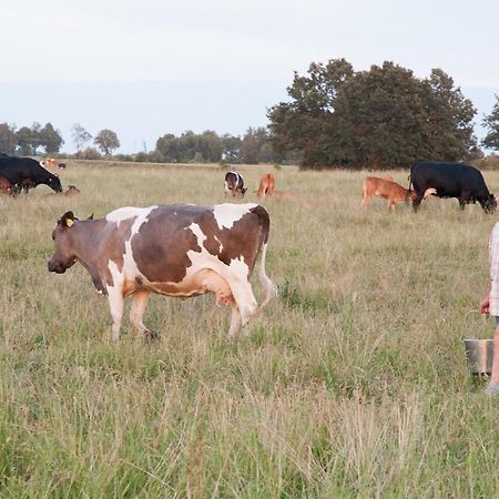 Agroturystyka Lolkowo Srokowo Экстерьер фото