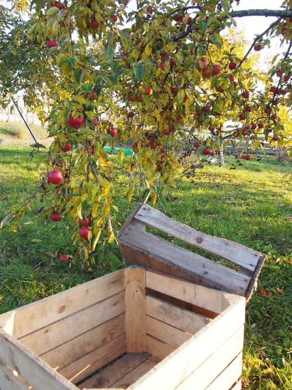 Agroturystyka Lolkowo Srokowo Экстерьер фото